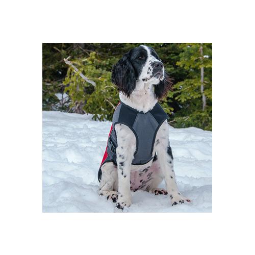 爆買 イージードッグ 犬 エレメントジャケット Mサイズ 中型犬 EZYDOG おしゃれ 丈夫 軽い 防風 防水 防寒 アウトドア あすつく対応 正規品 |  | 07