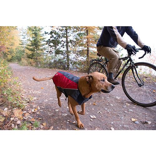 爆買 イージードッグ 犬 エレメントジャケット Mサイズ 中型犬 EZYDOG おしゃれ 丈夫 軽い 防風 防水 防寒 アウトドア あすつく対応 正規品 |  | 08