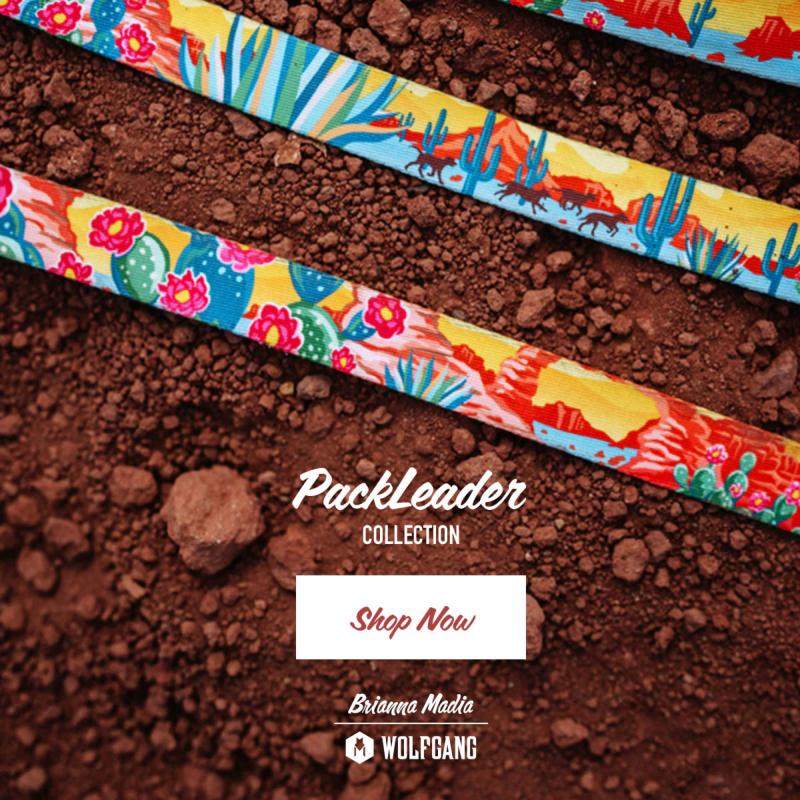 wolfg首輪Lとリード183cm MIXTAPE VintageBlack LEASH Mサイズ リード