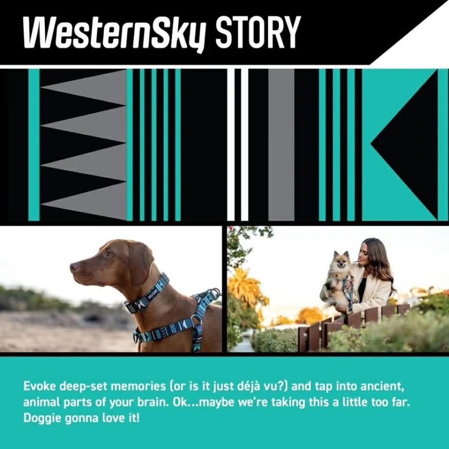 ウルフギャング マンアンドビースト 首輪リードセット MLサイズ 中型犬用 WOLFGANG MAN & BEAST WesternSky 【メール便1セットまで】
