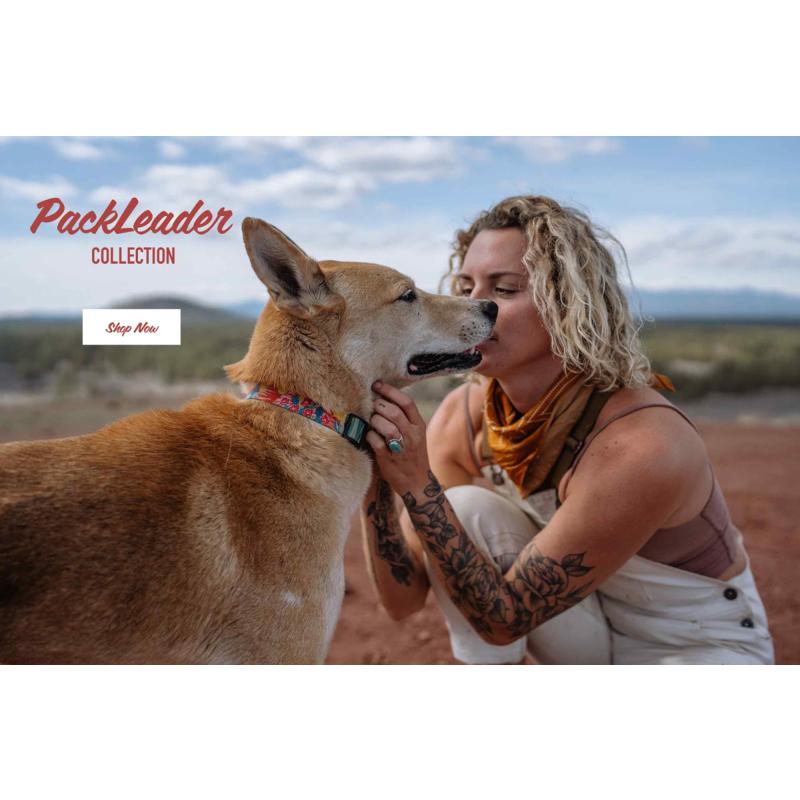 WOLFGANG MAN & BEAST ハーネス（胴輪） Sサイズ 小型犬用 パック