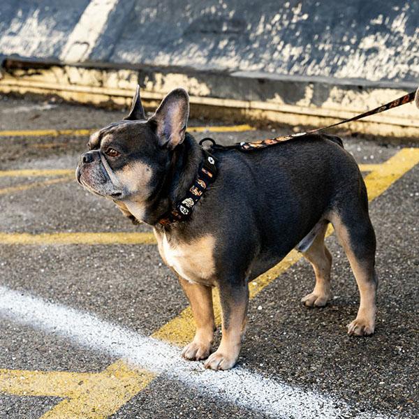 WOLFGANG MAN & BEAST ハーネス Mサイズ 中型犬用 ウルフギャング マン