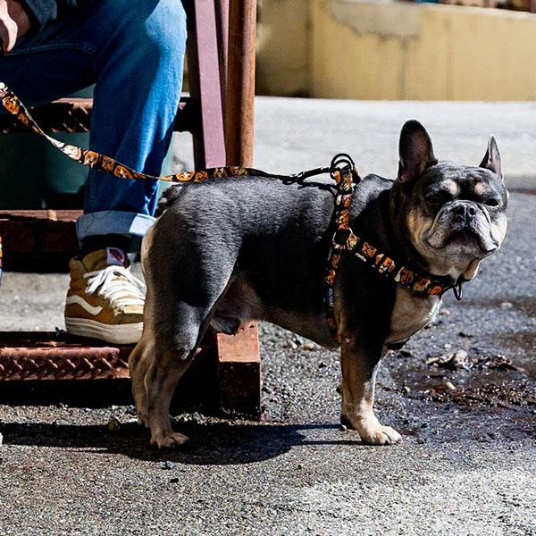 WOLFGANG MAN & BEAST ハーネス Mサイズ 中型犬用 ウルフギャング マン