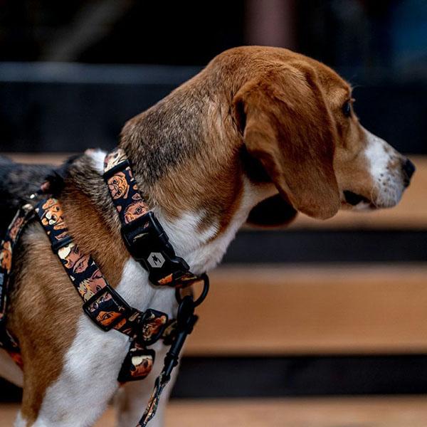 WOLFGANG MAN & BEAST ハーネス Mサイズ 中型犬用 ウルフギャング マン