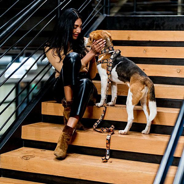 WOLFGANG MAN & BEAST ハーネス Mサイズ 中型犬用 ウルフギャング マン