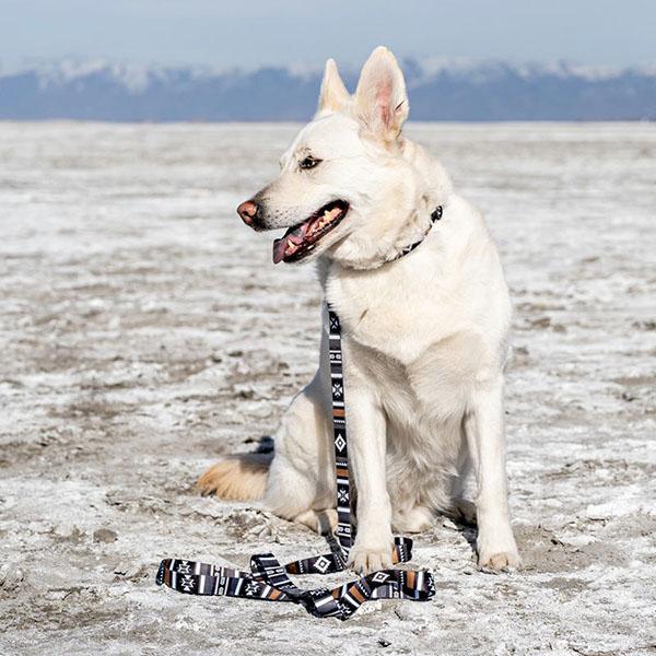 WOLFGANG MAN & BEAST ウルフギャング マンアンドビースト ハーネス