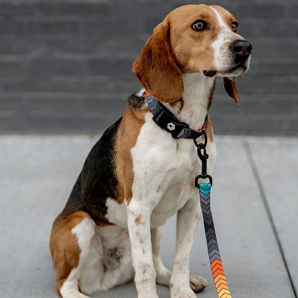 ハーネス Lサイズ 大型犬用 WOLFGANG MAN \u0026 BEAST ChevTech ウルフギャング マン\u0026ビースト WH-003-108  【メール便対応商品3点まで】_3
