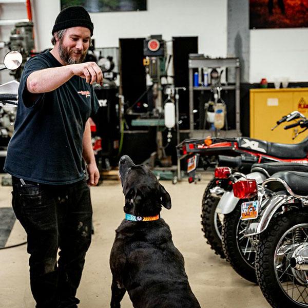 ハーネス Lサイズ 大型犬用 WOLFGANG MAN \u0026 BEAST ChevTech ウルフギャング マン\u0026ビースト WH-003-108  【メール便対応商品3点まで】_7