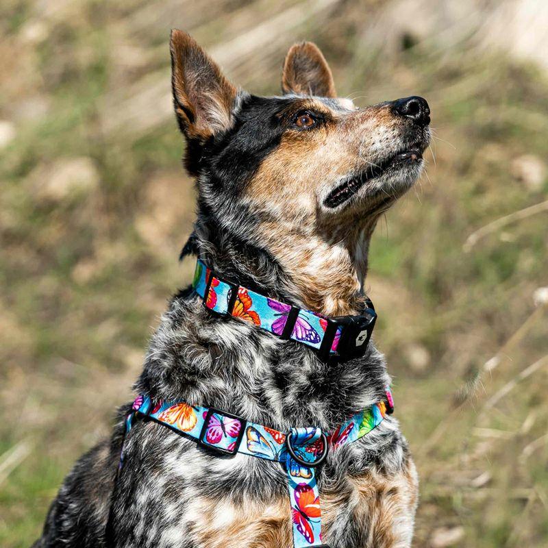 ハーネス Lサイズ 大型犬用 WOLFGANG MAN \u0026 BEAST FlutterColor ウルフギャング マン\u0026ビースト WH-003-109 【メール便対応商品3点まで】の画像