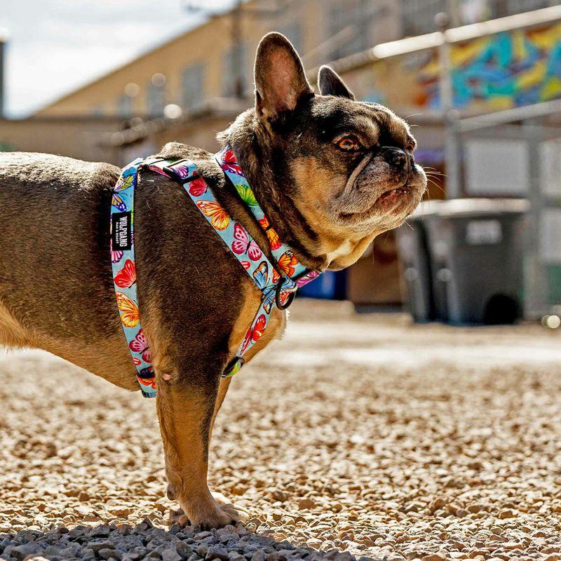 ハーネス Lサイズ 大型犬用 WOLFGANG MAN \u0026 BEAST FlutterColor ウルフギャング マン\u0026ビースト WH-003-109 【メール便対応商品3点まで】の画像