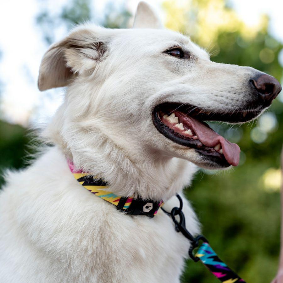 ハーネス Lサイズ 大型犬用 WOLFGANG MAN \u0026 BEAST FuzzyTails ウルフギャング マン\u0026ビースト WH-003-117 【メール便対応商品3点まで】の画像