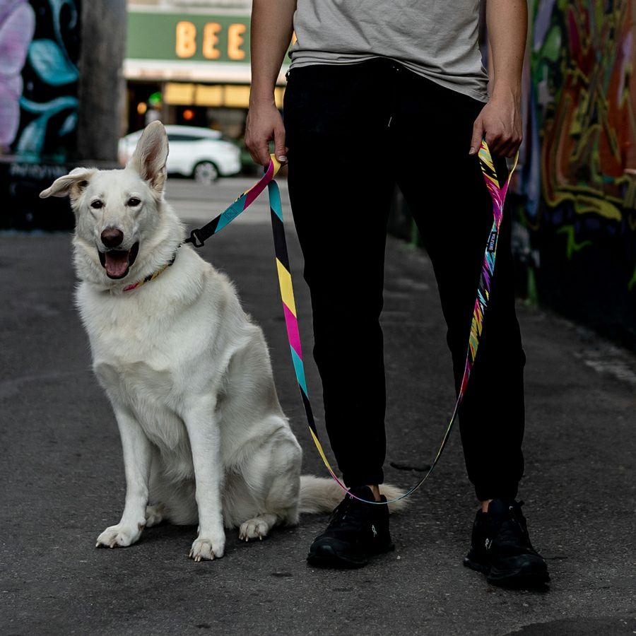 ハーネス Lサイズ 大型犬用 WOLFGANG MAN \u0026 BEAST FuzzyTails ウルフギャング マン\u0026ビースト WH-003-117 【メール便対応商品3点まで】の画像