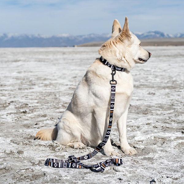 ハーネス Lサイズ 大型犬用 WOLFGANG MAN \u0026 BEAST NewMoon ウルフギャング マン\u0026ビースト WH-003-79 【メール便対応商品3点まで】の画像