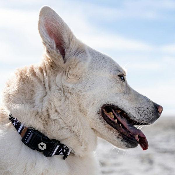 ハーネス Lサイズ 大型犬用 WOLFGANG MAN \u0026 BEAST NewMoon ウルフギャング マン\u0026ビースト WH-003-79 【メール便対応商品3点まで】の画像