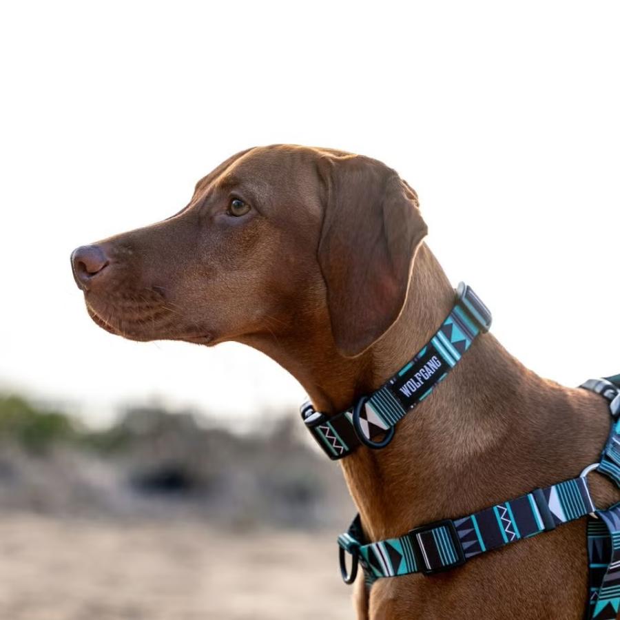 ハーネス Lサイズ 大型犬用 WOLFGANG MAN \u0026 BEAST ウェスタンスカイ WesternSky ウルフギャング マン\u0026ビースト P000057940104 【メール便3点まで】の画像