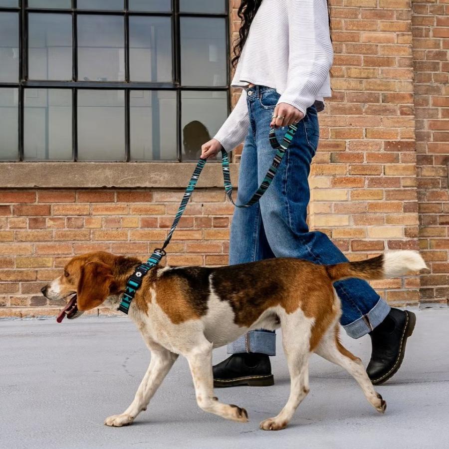 ハーネス Lサイズ 大型犬用 WOLFGANG MAN \u0026 BEAST ウェスタンスカイ WesternSky ウルフギャング マン\u0026ビースト P000057940104 【メール便3点まで】の画像