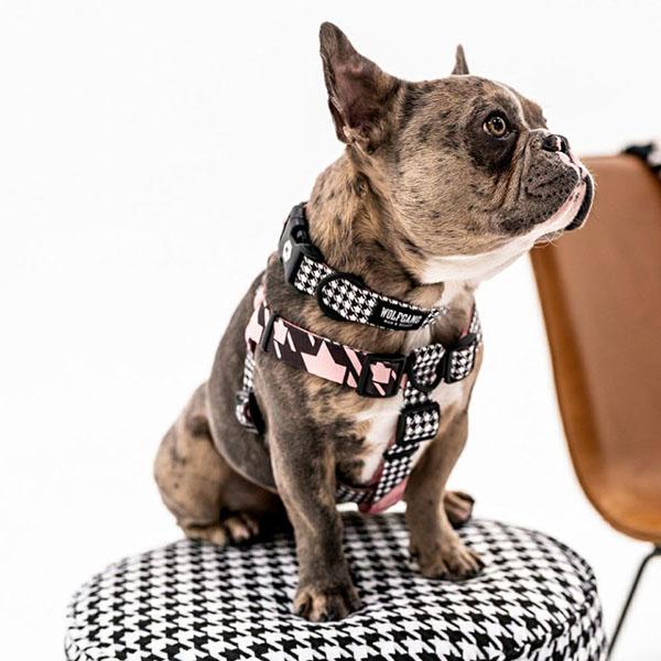 WOLFGANG MAN & BEAST リード Mサイズ 中型犬用 WOLFGANG MAN & BEAST
