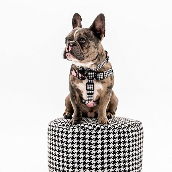 WOLFGANG MAN & BEAST リード Mサイズ 中型犬用 WOLFGANG MAN & BEAST