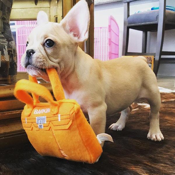 オートディギティドッグ Haute Diggity Dog 犬 おもちゃ 【Barkin Bag ハンドバッグ】 HDD003 音が鳴る 犬用ぬいぐるみ | HAUTE | 01