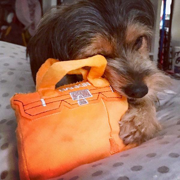 オートディギティドッグ Haute Diggity Dog 犬 おもちゃ 【Barkin Bag ハンドバッグ】 HDD003 音が鳴る 犬用ぬいぐるみ | HAUTE | 02