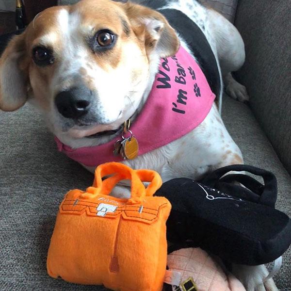 オートディギティドッグ Haute Diggity Dog 犬 おもちゃ 【Barkin Bag ハンドバッグ】 HDD003 音が鳴る 犬用ぬいぐるみ | HAUTE | 03