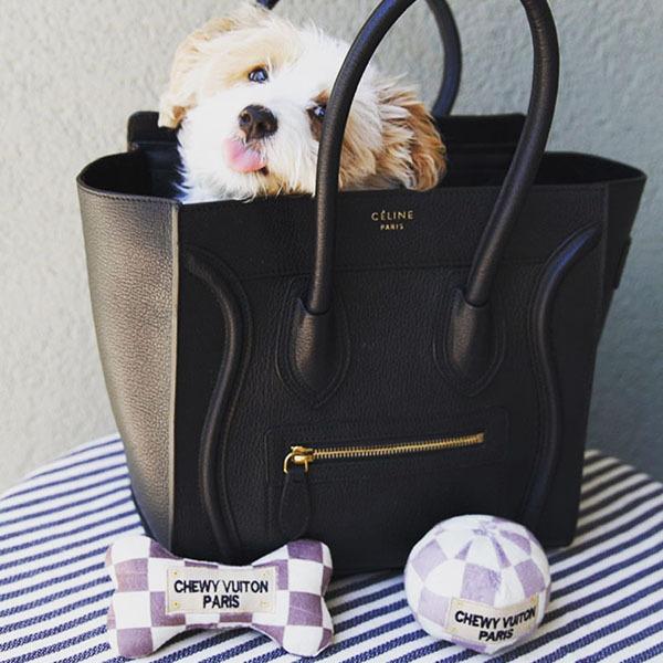 オートディギティドッグ Haute Diggity Dog 犬 おもちゃ 【Vuiton Ball ボール】 HDD007 音が鳴る 犬用ぬいぐるみ | HAUTE | 02