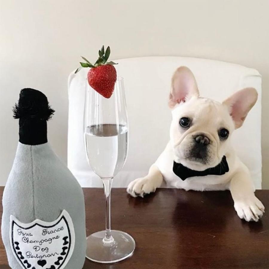 オートディギティドッグ Haute Diggity Dog 犬 おもちゃ かわいい 【Dog Perignonn Champagne シャンパンボトル】 HDD010 音が鳴る 犬用ぬいぐるみ ソフト | HAUTE | 04