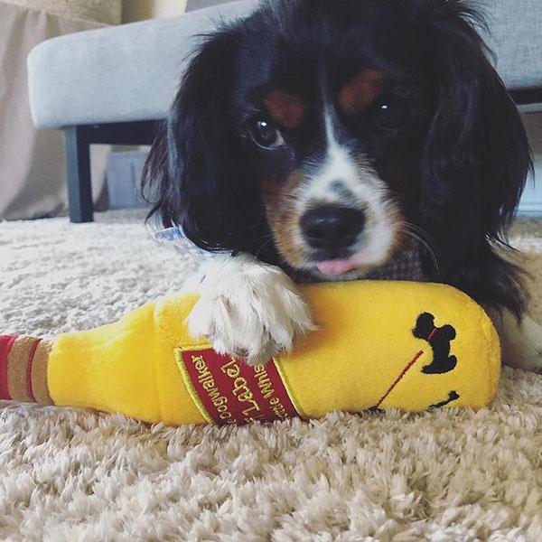 オートディギティドッグ Haute Diggity Dog 犬 おもちゃ 【Johnnie dogwlaker ウィスキー】 HDD014 音が鳴る | HAUTE | 01