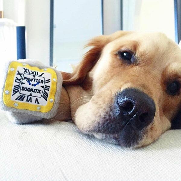 オートディギティドッグ Haute Diggity Dog 犬 おもちゃ 【Pawtier Watch 腕時計】 HDD024 音が鳴る 犬用ぬいぐるみ | HAUTE | 03