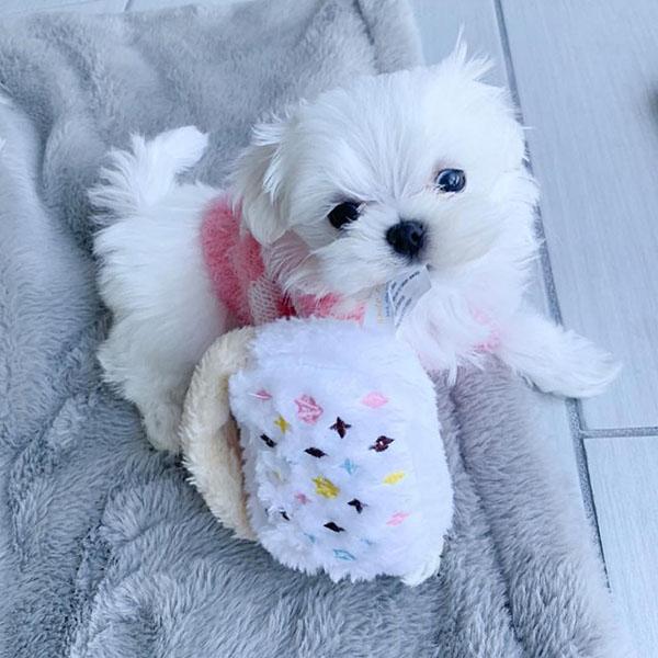 オートディギティドッグ Haute Diggity Dog 犬 おもちゃ 【Vuiton Handbag ハンドバッグS】 HDD033S