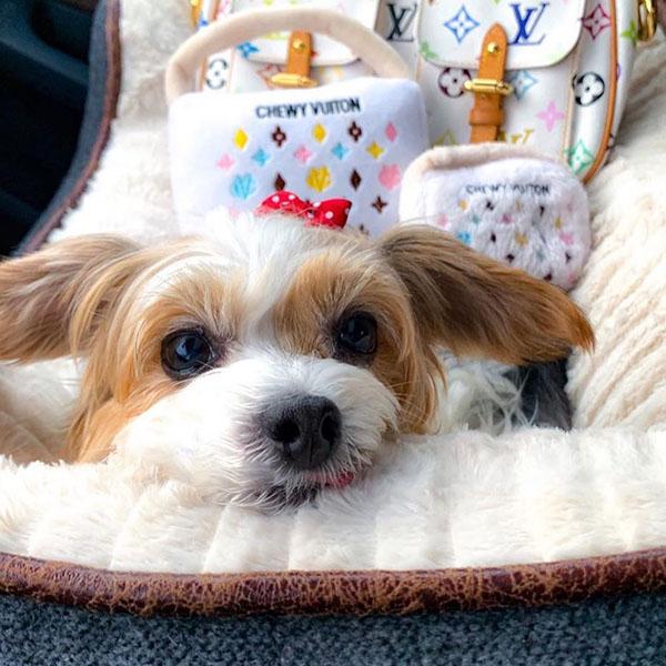 オートディギティドッグ Haute Diggity Dog 犬 おもちゃ 【Vuiton Handbag ハンドバッグS】 HDD033S