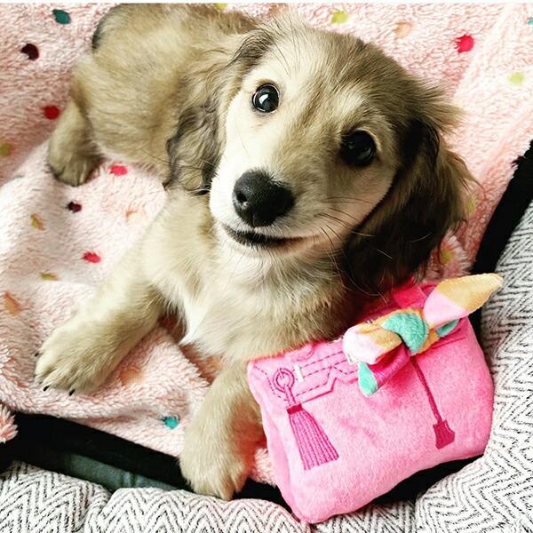 HAUTE（オート） オートディギティドッグ Haute Diggity Dog 犬