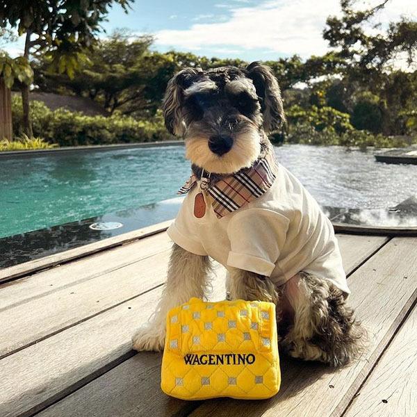 オートディギティドッグ Haute Diggity Dog 犬 おもちゃ 【Wagentino Handbag ハンドバッグ】 HDD100 音が鳴る 犬用ぬいぐるみ | HAUTE | 06