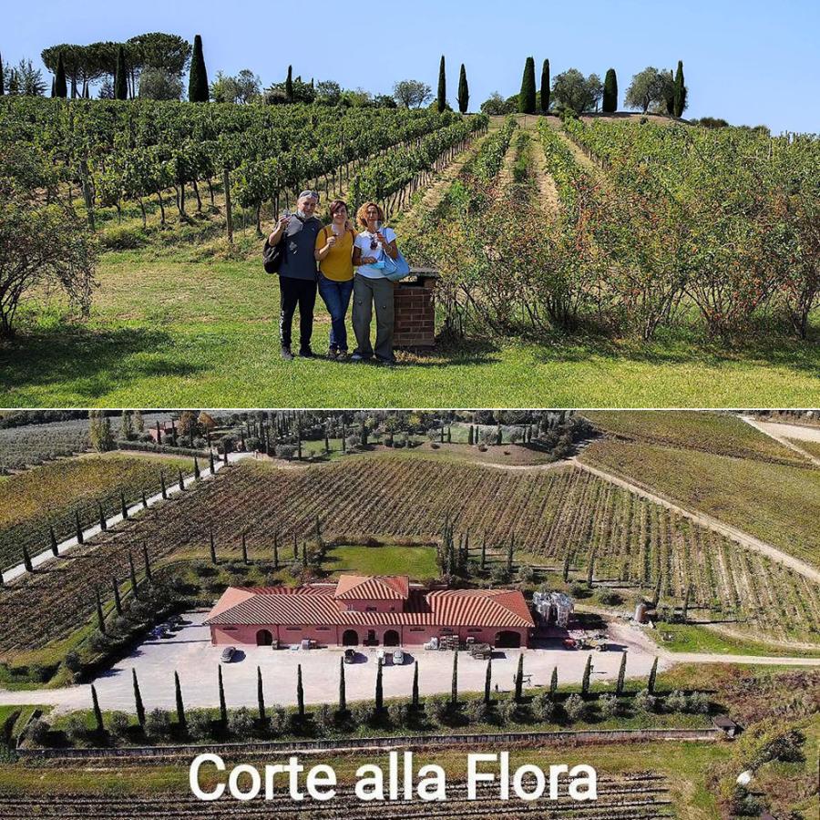 グラッパ リゼルヴァ 500ml 45度 食後酒 GRAPPA RISERVA Corte alla Flora |  | 02