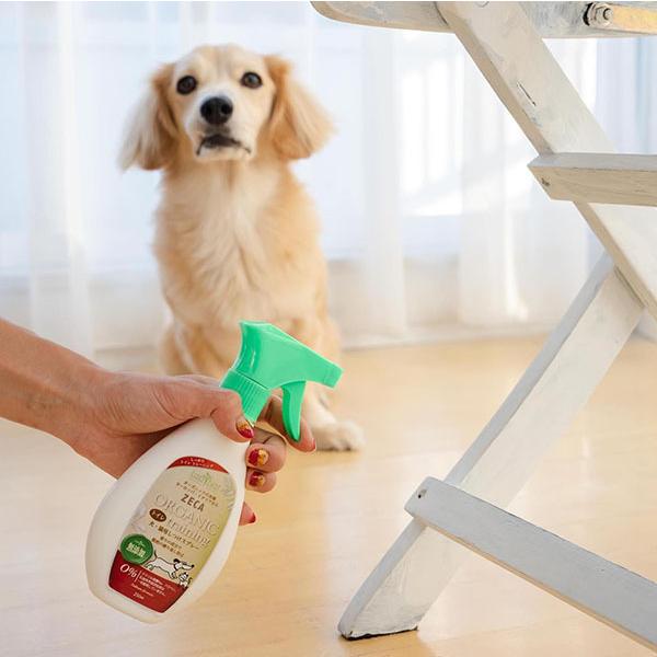 犬 トイレ しつけ スプレー: 犬 1歳 トイレトレーニング – HPUY