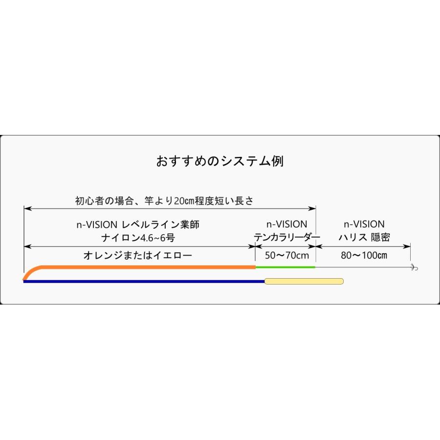 N Vision テンカラハリス 隠密 フロロ40m 0 6 1号 国産 しなやかで強くてお得 N Onmitsu N Vision エヌヴィジョン 通販 Yahoo ショッピング