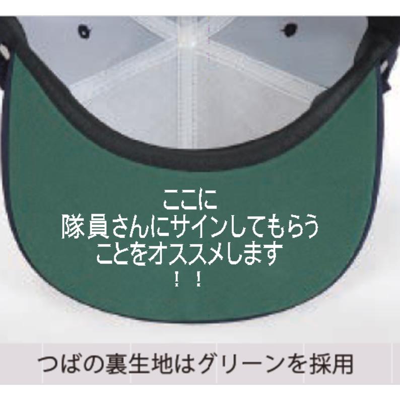 ブルーインパルス隊員識別帽 飛行展示・サイン会 装着用キャップ 佐官