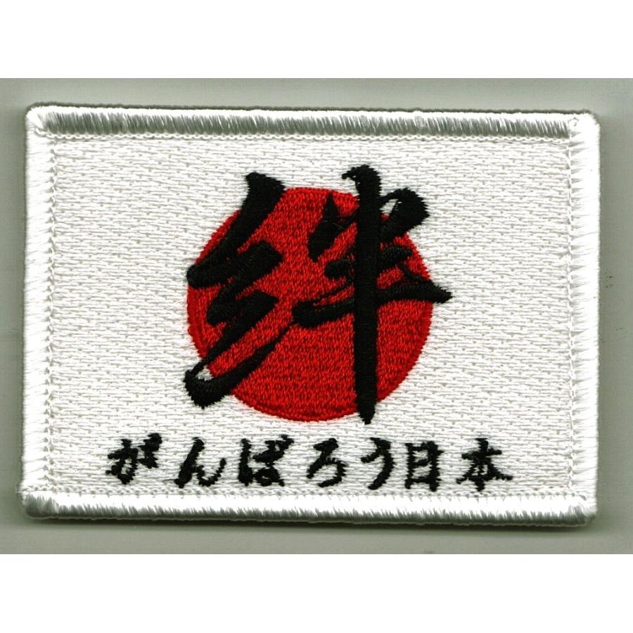 自衛隊 （航空・陸上自衛隊）2011〜 日の丸・絆 がんばろう日本