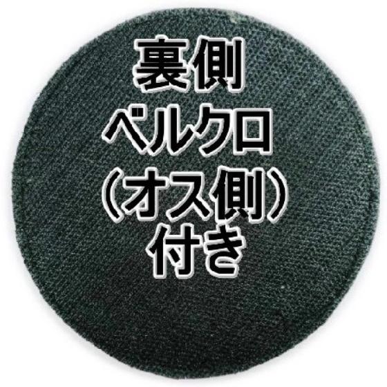 日米合同演習 コープノースグアム（CNG） 2016 参加パッチ : 空飛ぶ
