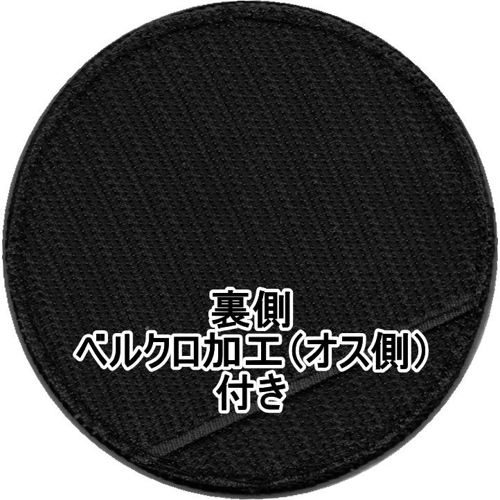 第201飛行隊パイロットヒグマパッチ 夏／冬 : 空飛ぶ広報室ヤフー店