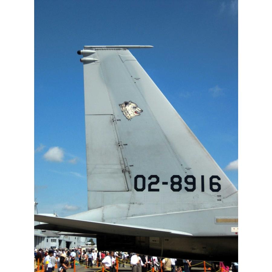 第２０１飛行隊Ｆ-15ファイティングベアーパッチ