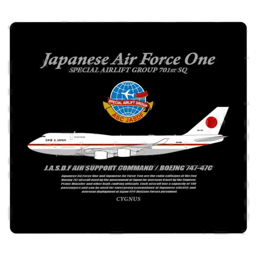 11533GR Hogan JASDF / 政府専用機 B747-400 20-1101 1:200 完成