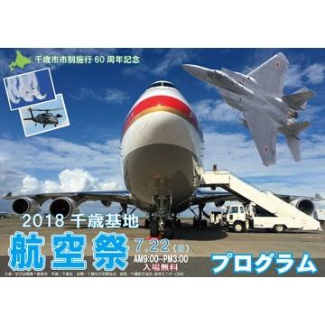 11533GR Hogan JASDF / 政府専用機 B747-400 20-1101 1:200 完成