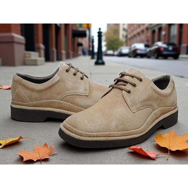 ハッシュパピー Hush Puppies M-5514T 4E レースアップシューズ カジュアル メンズ 靴の画像