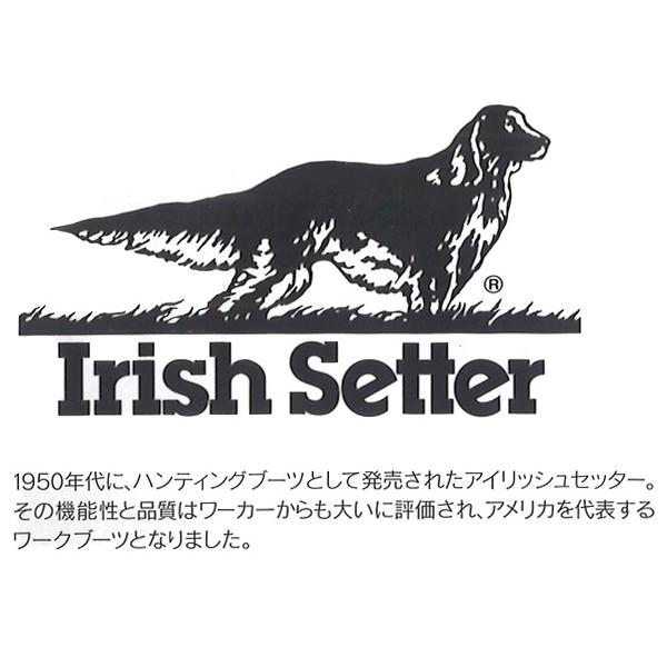 レッドウイング アイリッシュセッター RED WING SHOES Irish Setter 6" Moc-toe ワイズ:E メンズ レディース 靴の画像