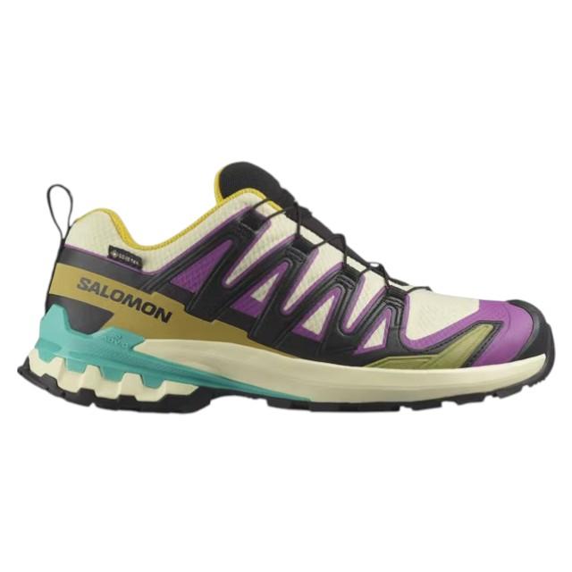 サロモン1080 SALOMON（サロモン） SALOMON 478822 XA PRO 3D V9 GORE-TEX W 女性用