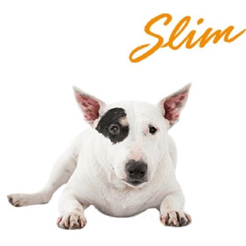 SELECT BALANCE セレクトバランス スリム ラム 小粒 7kg : にゃんど