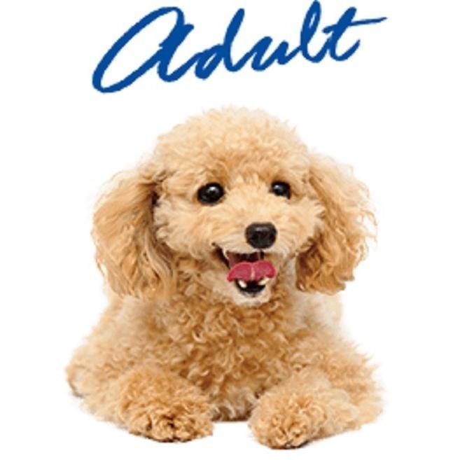 SELECT BALANCE セレクトバランス グレインフリー アダルト サーモン