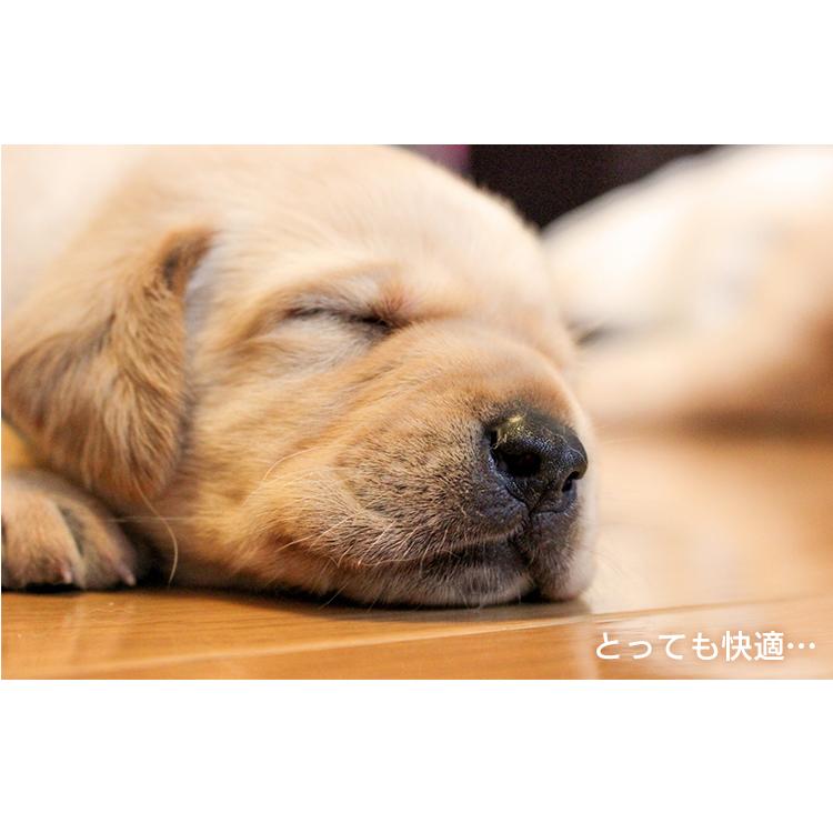 ケージ 中型 Lサイズ 犬 猫 折りたたみ コンパクト収納 ペットケージ ドッグケージ キャットケージ 折りたたみケージ  OKE-750Rの画像
