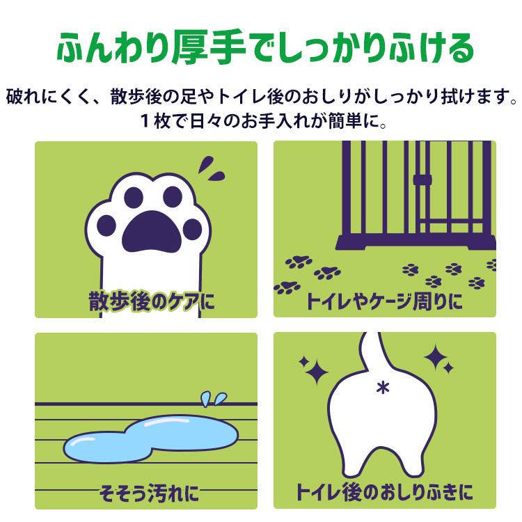 ウェットティッシュ 携帯用 ペット用 ノンアルコール ペット 安全 除菌 消臭 ペット アイリスオーヤマ ペット用除菌ウェットティッシュ 80枚入×3P PWT-3P|nyanko|03